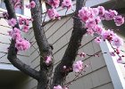 Picture 032